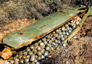 Ce sunt munițiile cu dispersie și ce sunt înfricoșătoare, mixleit, vsetet