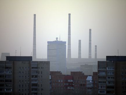 Mi az a „lemming szindróma”, és hogyan kell harcolni, vagy mentse az ökológiai kerttervezés