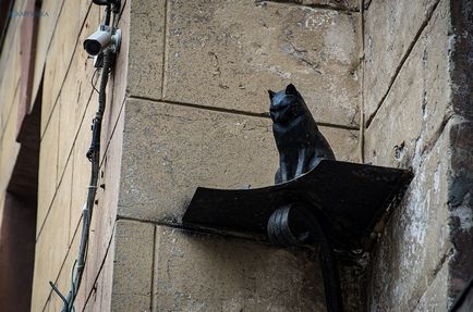 Zece monumente pentru pisicile de pe străzile din Petersburg 1