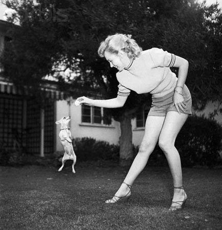 Animale domestice marilyn monroe