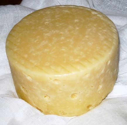 Домашній твердий сир із закваскою мейт