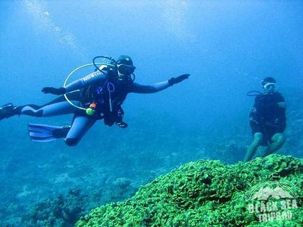 Excursii în minunata excursie minunată 2017