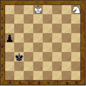 Endgame - un cal împotriva unui pion, lumea șahului