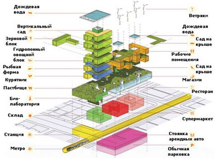 Evoluția grădinăritului vertical, arhitectonicii știrilor instituțiilor de învățământ superior