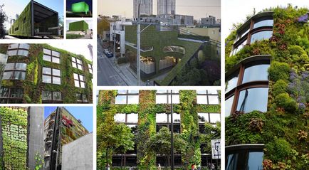 Еволюція вертикального озеленення, Архитектон звістки вузів