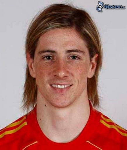 Fernando Torres