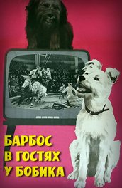 Фільм Тернер і хуч (1989) опис, зміст, цікаві факти і багато іншого про фільм