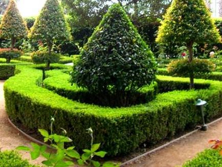 Frăția miracolă a Grădinilor Versailles