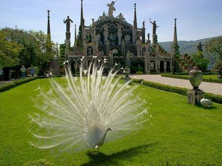 Frăția miracolă a Grădinilor Versailles