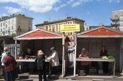 Hol lehet vásárolni egy kisállat piac Kondratyev (Polyustrovsky piac)