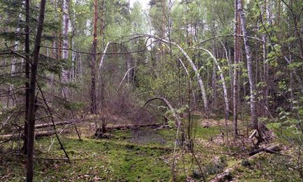 Згубне місце - урочище Шушмор, світ таємниць