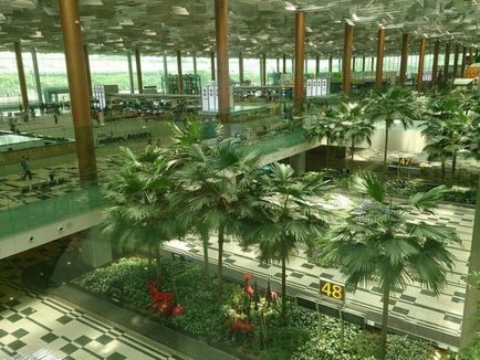 Changi ghid aeroport în Singapore descriere și caracteristici ale aeroportului din Singapore