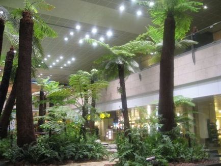 Changi ghid aeroport în Singapore descriere și caracteristici ale aeroportului din Singapore