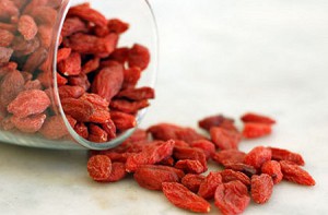 Goji fructe de padure beneficii și rău, cum să ia