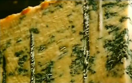Gorgonzola, olasz kéksajt, gorgonzola sajt főzés technológia, történelem