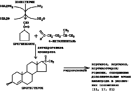 Гормони (4) - лекція, сторінка 2