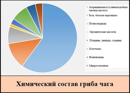 Гриб чага користь і шкода, застосування, рецепти