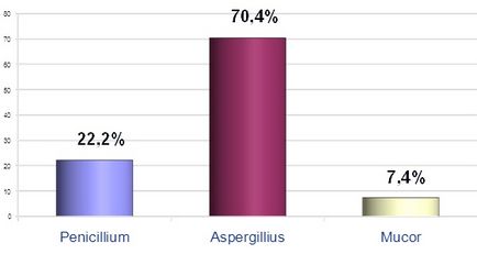 Sinuzita fungică - urgența și optimizarea problemei