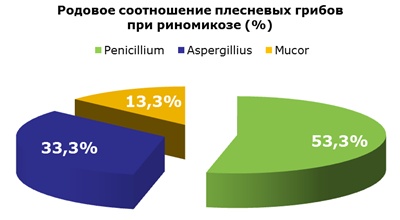 Sinuzita fungică - urgența și optimizarea problemei