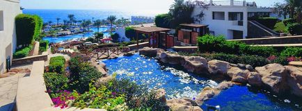 Hilton Sharm Waterfalls resortul 5 Egipt