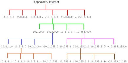 Adresă IP (adresa protocolului internet)