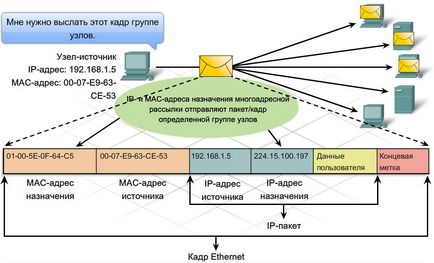 Ip-адреса (internet protocol address)