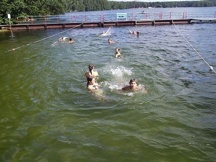 Spark (tabără de sănătate pentru copii pe malul molidului) (tabără) Spark (tabăra de sănătate a copiilor pe malul molidului)