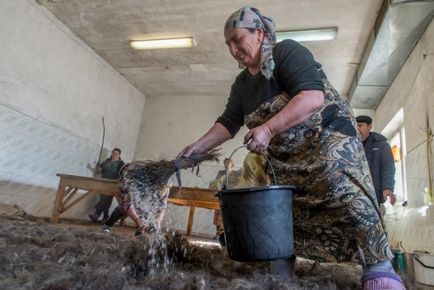 Як роблять бурки в Дагестані