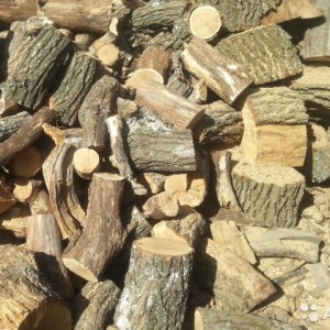 Які дрова краще для лазні -види і їх використання