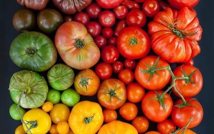 Які сорти помідор краще садити в теплиці з полікарбонату