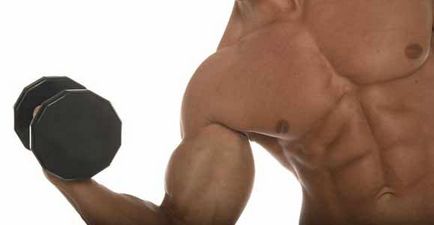 Cum să pompezi bicepsul, exerciții pe programul de antrenament biceps
