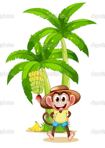 Cum să desenezi o maimuță sub un palmier, pe un palmier