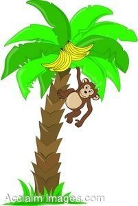 Cum să desenezi o maimuță sub un palmier, pe un palmier