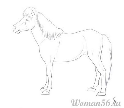 Як намалювати поні кінь олівцем поетапно