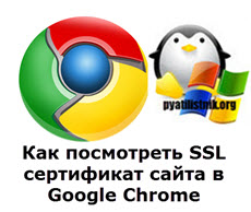 Як подивитися ssl сертифікат сайту в google chrome 56 і вище, настройка серверів windows і linux