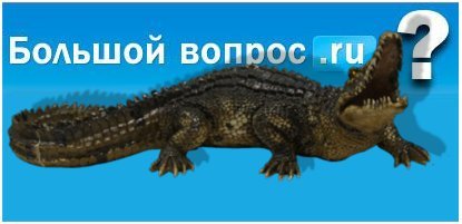 Cum să scrieți corect un crocodil sau un crocodil