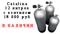 Як правильно вибрати гідрокостюм для дайвінгу