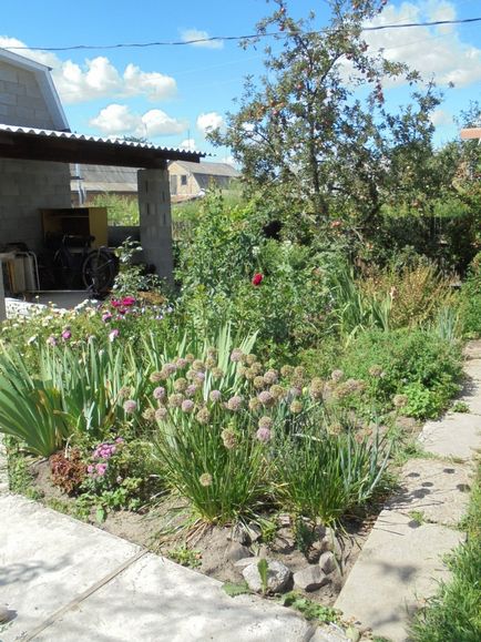 Cum de a transforma o gradina de flori de la stil - Provence - la stil - Versailles