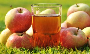 Cum se face sucul din mere pentru etapele de iarnă de recoltare a sucului de mere prin intermediul unui storcător în casă