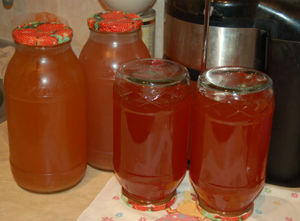 Cum se face sucul din mere pentru etapele de iarnă de recoltare a sucului de mere prin intermediul unui storcător în casă