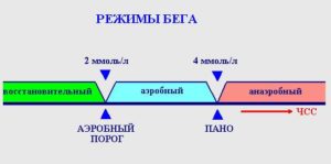 Як розрахувати максимальний пульс, russia running life