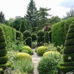 Cum de a crea o grădină mică într-un stil obișnuit - în stilul Versailles