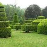 Cum de a crea o grădină mică într-un stil obișnuit - în stilul Versailles