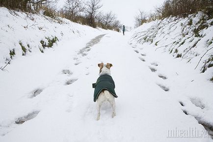 Як стати щасливішим 5 корисних порад від розумних людей