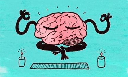Cum de a instrui complexul creierului de sfaturi