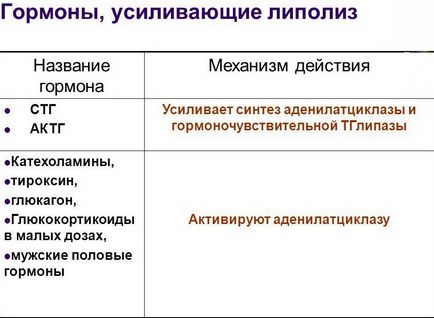 Як прибрати жир з живота секрет плоского животика - фітнесоманія для кожного!