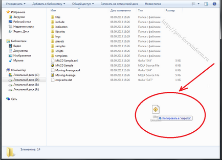 Cum se instalează Expert Advisor în metatrader 4