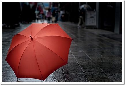 Cum de a alege o umbrelă Anton Privolnov oferă sfaturi practice