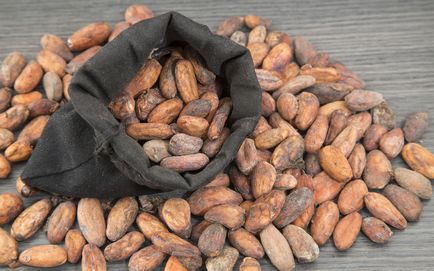Cum se păstrează boabele de cacao