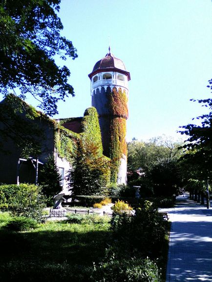 Cum am colectat chihlimbar - târg de maeștri - manual, manual